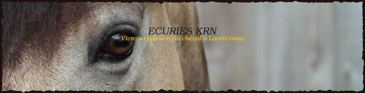 ECURIES KRN